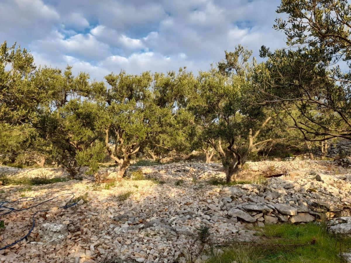 Apartmani Rokic Seget Vranjica Εξωτερικό φωτογραφία